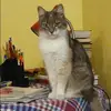 Отзыв от Валентина Исакова